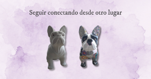 Seguir conectando desde otro lugar - duelo animal y creatividad